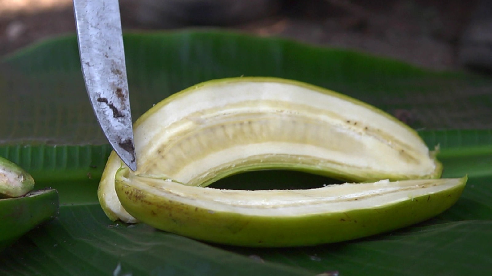 Screenshot aus dem Film "Unsere Banane – eine Mutation ohne Kerne"