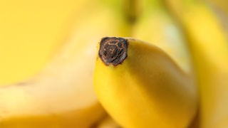 Nahaufnahme von Banane