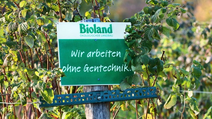 Ein Schild mit der Aufschrift "Bioland Ökologischer Landbau – Wir arbeiten ohne Gentechnik"