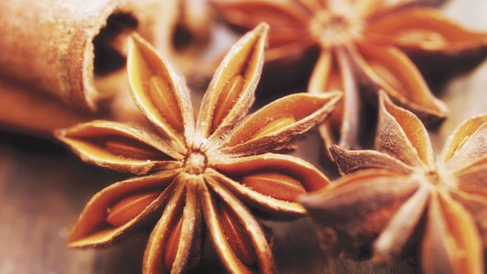 Brauner Sternanis mit offenen Kapseln in denen die glänzenden Samen zu sehen sind.