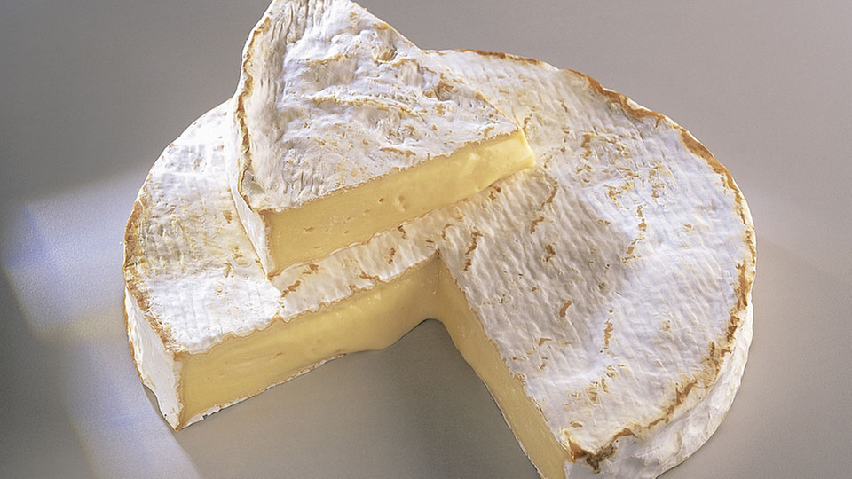 Käse Camembert Lebensmittel Gesellschaft Wissen