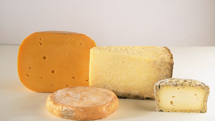 Vier verschiedene Sorten Käse