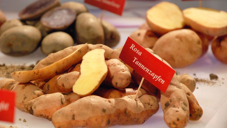 Bunte Kartoffel in einem Korb. | Bildquelle: imago Bunte Kartoffel in einem Korb.