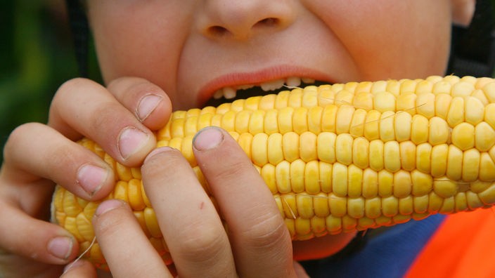 Kind beißt in großen Maiskolben