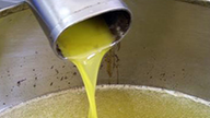 Gefiltertes Olivenöl fließt in einen Auffangbehälter