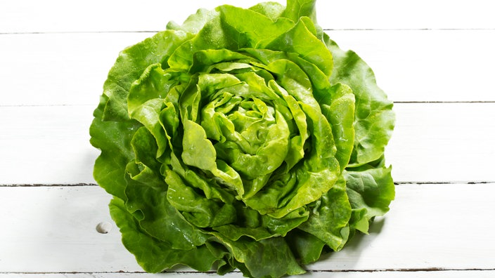 Grüner Blattsalatkopf auf einem hellen Holzhintergrund. | Bildquelle: picture alliance / Westend61/dpa Picture-Alliance Grüner Blattsalatkopf auf einem hellen Holzhintergrund.