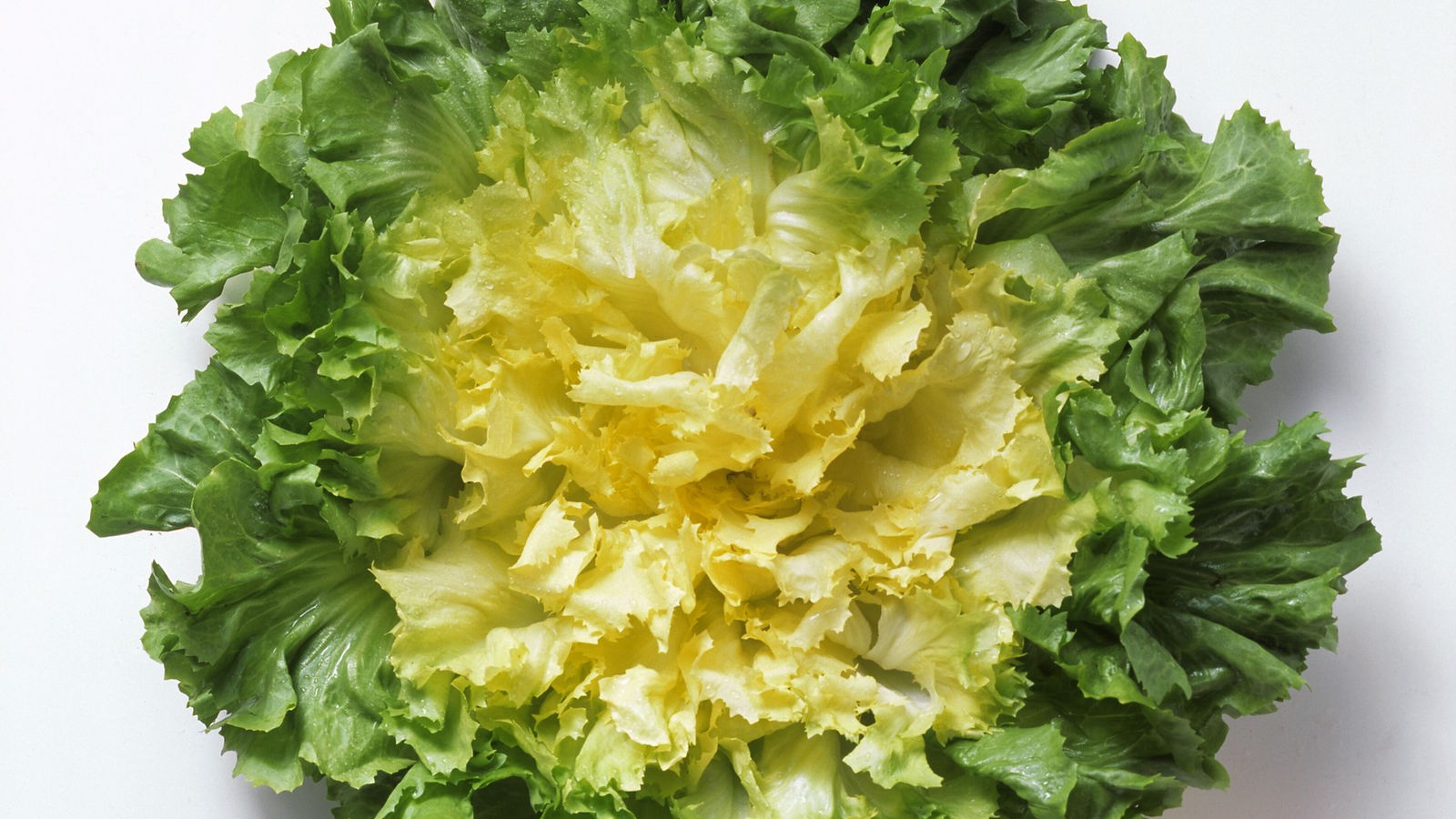 Salat: Die Salatlüge - Lebensmittel - Gesellschaft - Planet Wissen