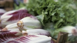 Salat auf einem Marktstand - Radiccio und Blattsalat.