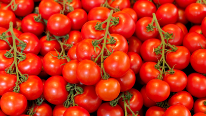 Tomaten auf einem Haufen.