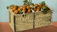 Gemaltes Plakat: Holzkiste mit Orangen.