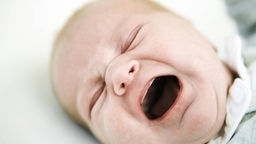 Babys lernen schnell, wie sie auf sich aufmerksam machen