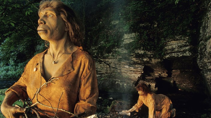 Rekonstruktion einer Neandertalerfrau und eines frühen Homo Sapiens Mannes