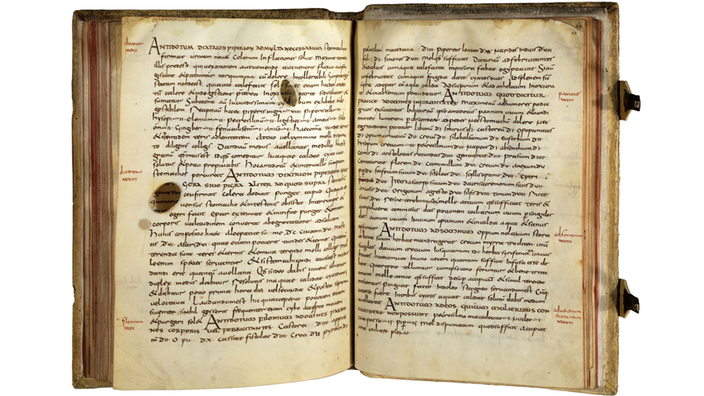 Das Lorscher Arzneibuch aufgeschlagen | Bildquelle: dpa Das Lorscher Arzneibuch aufgeschlagen