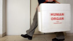 Ein Helfer trägt eine spezielle Kühlbox für Spenderorgane mit der Aufschrif "Human Organ".