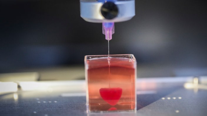 Ein 3D-Drucker erstellt ein Miniherz aus menschlichem Gewebe