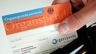 Nahaufnahme eines Organspende-Ausweises, der aus einer Brieftasche gezogen wird.