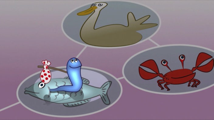 Zeichnung: Ein Würmchen mit Stock und Tuch über einem Fisch am Boden, daneben sind noch ein Krebs und ein Vogel.