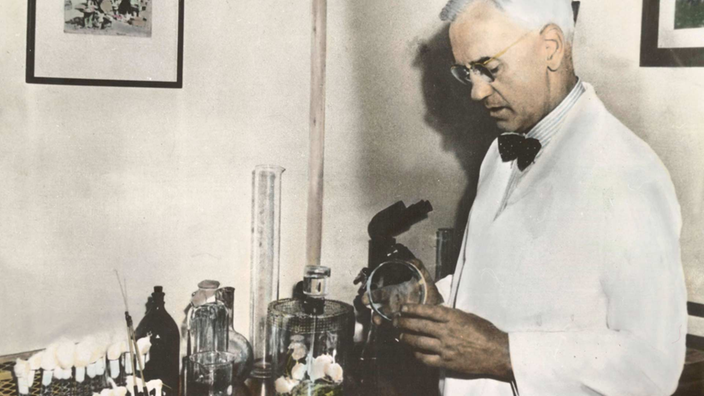 Kolorierte Aufnahme von Sir Alexander Fleming (um 1940) in einem Labor mit einer Petrischale in der Hand.