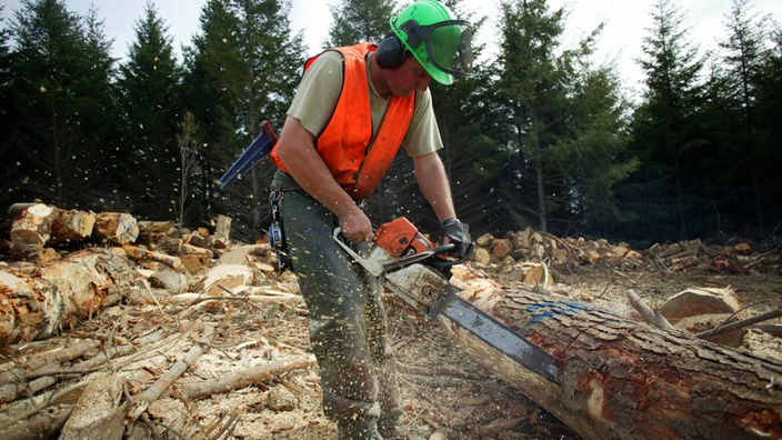 Waldarbeiter sägt einen Baum durch
