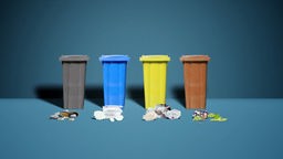 Screenshot aus dem Film "Müllmythos 1: Am Ende wird alles zusammengekippt"