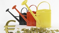 Drei Gießkannen in den Farben schwarz, rot, gelb stehen nebeneinander. Vor ihnen liegen goldene Euro-Zeichen.