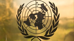Das Foto zeigt das Logo der Vereinten Nationen auf einer goldenen Platte. Das Logo der UNO zeigt eine zentrierte Auficht auf eine Weltkarte, die von einem Kranz aus Olivenblättern umrundet ist. 