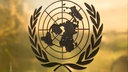 Das Foto zeigt das Logo der Vereinten Nationen auf einer goldenen Platte. Das Logo der UNO zeigt eine zentrierte Auficht auf eine Weltkarte, die von einem Kranz aus Olivenblättern umrundet ist. 