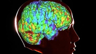 Silhouette eines menschlichen Kopfes vor dunklem Hintergrund. Im Kopf erkennt man ein bunt eingefärbtes Gehirn.