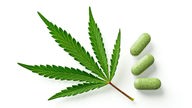 Cannabis in der Therapie