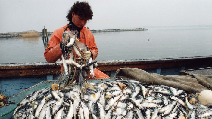 Fischer sitzt hinter einem Haufen gefangener Fische.