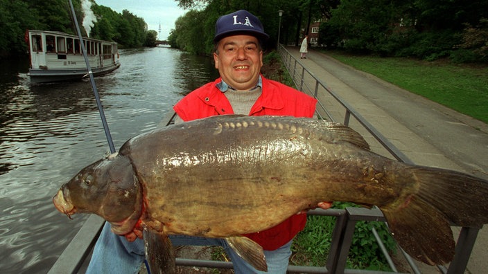 Angler hält einen großen Karpfen. | Bildquelle: dpa/Stefan Hesse Angler hält einen großen Karpfen.