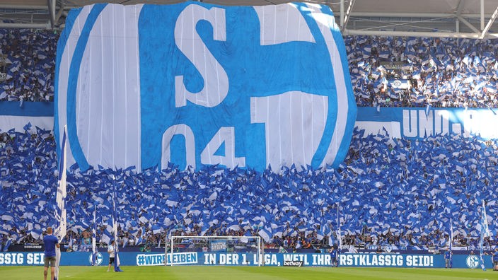 Schalke-Fans bei einem Spiel in der Nordkurve des Stadions