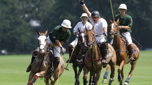 Das Bild zeigt vier Polospieler auf ihren Pferden, die um den Ball kämpfen.