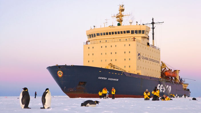 Expeditionsschiff lädt Touristen auf Eisscholle ab. Die Touristen fotografieren Pinguine.