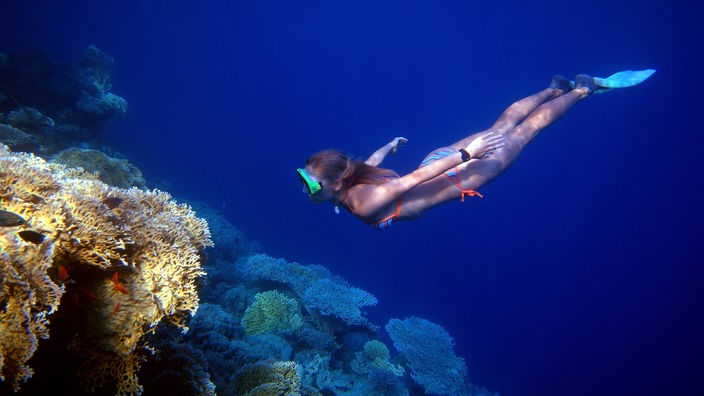Taucherin an einem Korallenriff im Roten Meer