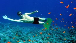 Apnoe-Taucher unter Wasser