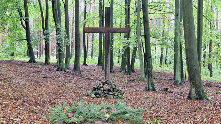 Kreuz im Friedwald.
