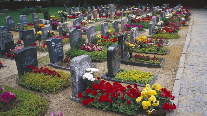 Mehrere Grabreihen auf einem Friedhof. Auf den Gräbern sind Blumen gepflanzt.