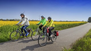 Eine Gruppe von Menschen fährt an einem sonnigen Tag mit dem Fahrrad durch die Landschaft.