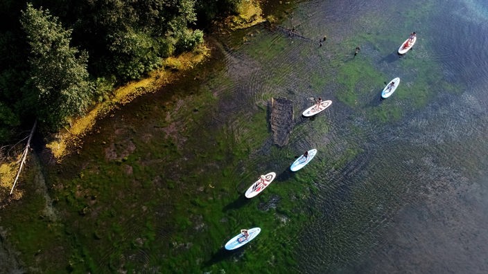 Eine Gruppe von Menschen fährt Stand-up-Paddle-Board auf einem See umgeben von Wäldern.