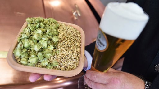 Die Zutaten fürs Bier: Hopfen und Getreide.