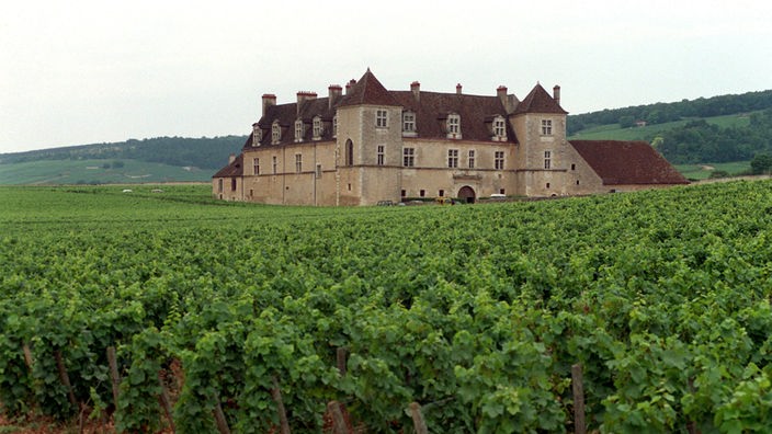 Weingut im Burgund.