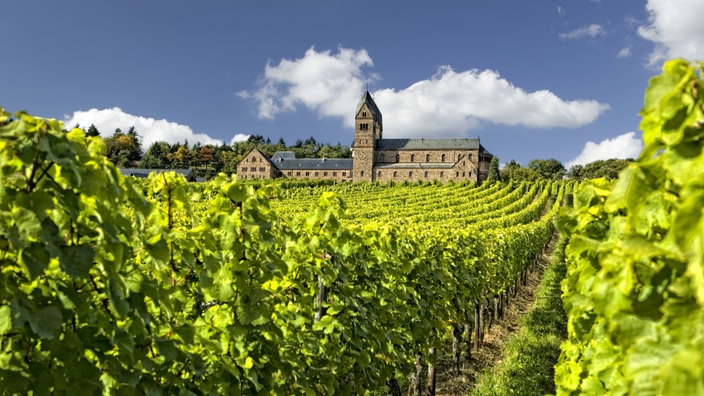 Weinberg vor einem Kloster. | Bildquelle: imago Weinberg vor einem Kloster.