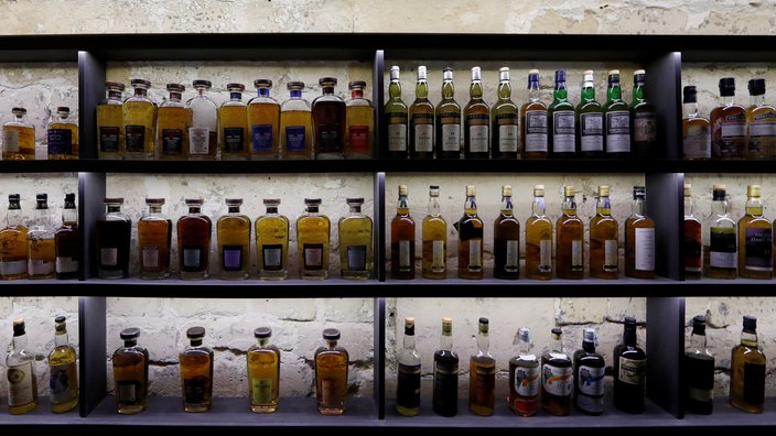 Viele Whiskyflaschen in einem Regal