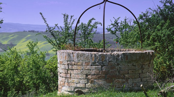 Ein Brunnen in der Toskana, umgeben von Grün.