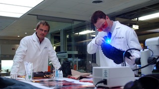 Ermittler der Fernsehserie CSI New York bei der Arbeit.