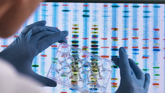 Ein Forscher wertet ein DNA-Muster aus. | Bildquelle: Imago Images Ein Forscher wertet ein DNA-Muster aus.