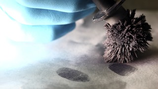Mit Eisenspänen werden Fingerabdrücke sichtbar gemacht.