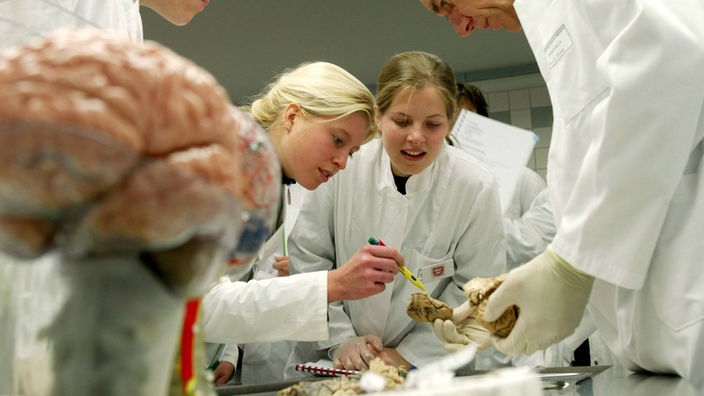 Arzt und Medizinstudenten in Arztkitteln sezieren ein Gehirn