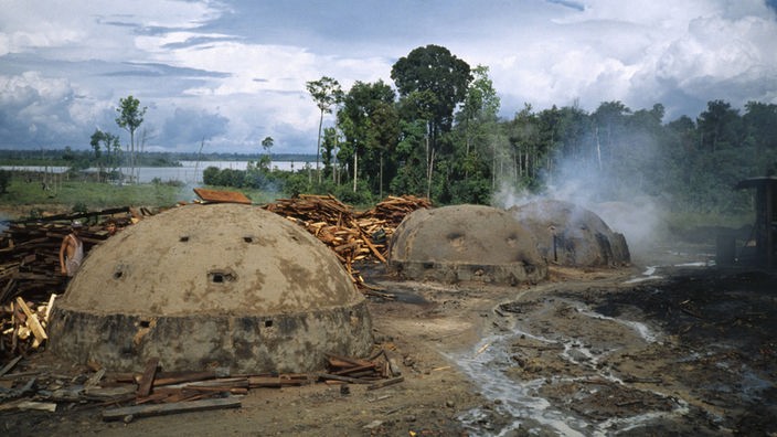 Das Foto zeigt kuppelförmige rauchende Holzkohleöfen, auf einem abgeholzten Waldgelände in Brasilien.